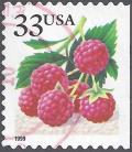 Colnect-3594-593-Fruit-Berries-Raspberries.jpg