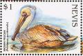 Colnect-3798-887-Brown-pelican.jpg