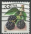 Colnect-3972-635-Fruit-Berries-Blackberries.jpg