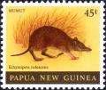 Colnect-5924-783-Long-nosed-Spiny-Bandicoot-Echymipera-rufescens.jpg