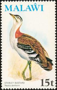 Colnect-864-253-Denham-s-Bustard-Neotis-denhami.jpg