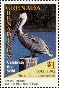 Colnect-4373-722-Brown-pelican.jpg