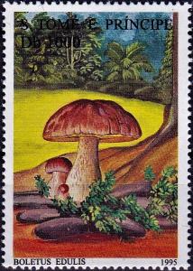 Colnect-4468-847-Boletus-edulis.jpg