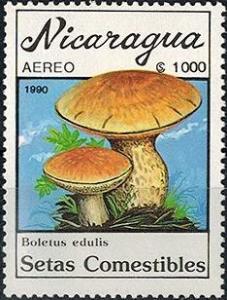 Colnect-2934-306-Boletus-edulis.jpg