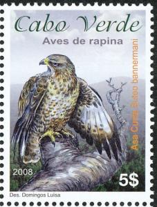 Colnect-3970-505-Cape-Verde-Buzzard-Buteo-bannermani.jpg