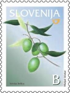 Colnect-703-186-Olive-branch-Olea-europea.jpg