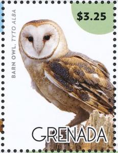 Colnect-4523-314-Western-Barn-Owl----Tyto-alba.jpg