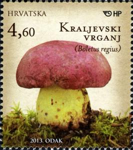 Colnect-6335-322-Boletus-regius.jpg