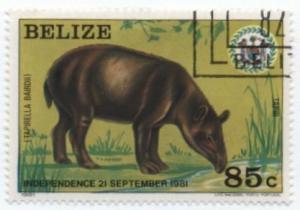 Colnect-1068-093-Baird--s-Tapir.jpg