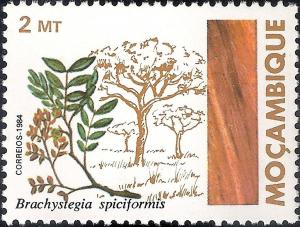 Colnect-1117-432-Zebrawood-Brachystegia-spiciformis.jpg