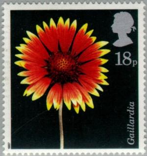 Colnect-122-494-North-American-Blanket-Flower---Gaillardia.jpg