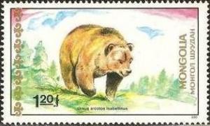 Colnect-1252-711-Himalayan-Brown-Bear-Ursus-arctos-isabellinus.jpg