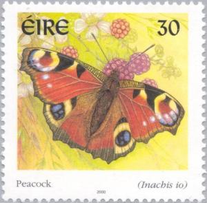 Colnect-129-746-Peacock-Butterfly-Inachis-io.jpg