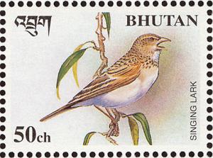 Colnect-1412-480-Horsfield--s-Bush-Lark-Mirafra-javanica.jpg