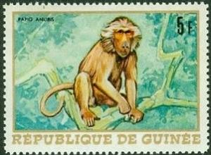 Colnect-1420-271-Olive-baboon-Papio-anubis.jpg