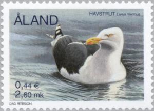 Colnect-160-887-Great-Black-backed-Gull-Larus-marinus.jpg