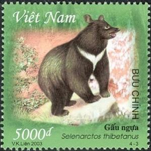 Colnect-1621-004-Asiatic-Black-Bear-Selenarctos-thibetanus.jpg