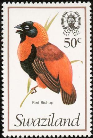 Colnect-1661-881-Southern-Red-Bishop-nbsp-Euplectes-oryx.jpg