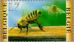 Colnect-187-255-Honey-Bee-Apis-mellifica.jpg