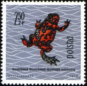 Colnect-2050-992-European-Fire-bellied-Toad-Bombina-bombina.jpg