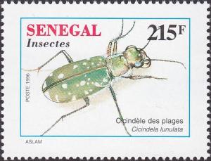 Colnect-2697-682-Sand-Tiger-Beetle-Cicindela-lunulata.jpg