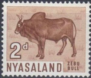 Colnect-2708-928-Zebu-Bull-Bos%C2%A0primigenius-indicus.jpg