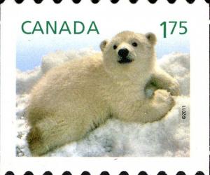 Colnect-3091-601-Polar-Bear-Ursus-maritimus.jpg