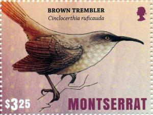 Colnect-3706-318-Brown-trembler.jpg