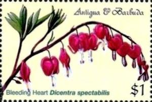 Colnect-4103-324-Bleeding-heart.jpg