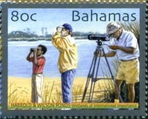 Colnect-4134-959-Bird-watchers.jpg