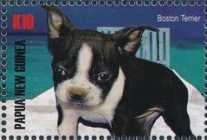 Colnect-4215-349-Boston-terrier.jpg