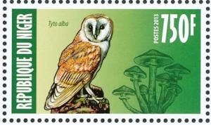 Colnect-4914-490-Western-Barn-Owl----Tyto-alba.jpg