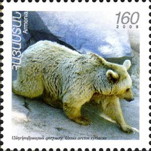 Colnect-5070-286-Syrian-Brown-Bear-Ursus-arctos-syriacus.jpg