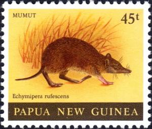 Colnect-5924-783-Long-nosed-Spiny-Bandicoot-Echymipera-rufescens.jpg