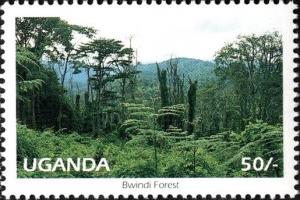 Colnect-6303-520-Bwindi-Forest.jpg