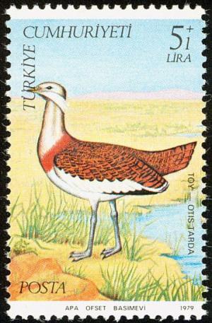 Colnect-736-102-Great-Bustard-Otis-tarda.jpg