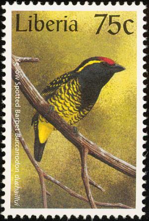 Colnect-745-926-Yellow-spotted-Barbet-Buccanodon-duchaillui.jpg