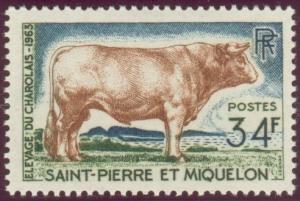 Colnect-875-143-Charolais-Bos-primigenius-taurus.jpg