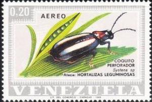 Colnect-889-011-Flea-Beetle-Systena-sp.jpg