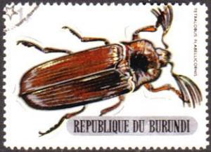 Colnect-958-650-Giant-Acacia-Click-Beetle-Tetralobus-flabellicornis.jpg