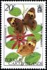 Colnect-3039-639-Caribbean-Buckeye-Junonia-evarete.jpg