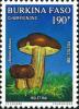 Colnect-2631-866-Boletus-badius.jpg