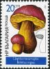 Colnect-2824-185-Boletus-regius.jpg