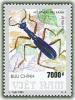 Colnect-1656-550-Tube-beetle-Collyris-sp.jpg