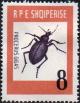 Colnect-1015-785-Ground-Beetle-Carabus-gigas.jpg