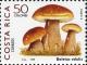 Colnect-2197-762-Boletus-edulis.jpg