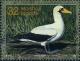 Colnect-2973-350-Masked-Booby-Sula-dactylatra.jpg