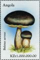 Colnect-2979-952-Bronze-Bolete-Boletus-aereus.jpg