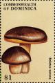 Colnect-3037-964-Boletus-aereus.jpg