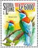 Colnect-3565-982-Blue-throated-Bee-eater%C2%A0-%C2%A0Merops-viridis.jpg